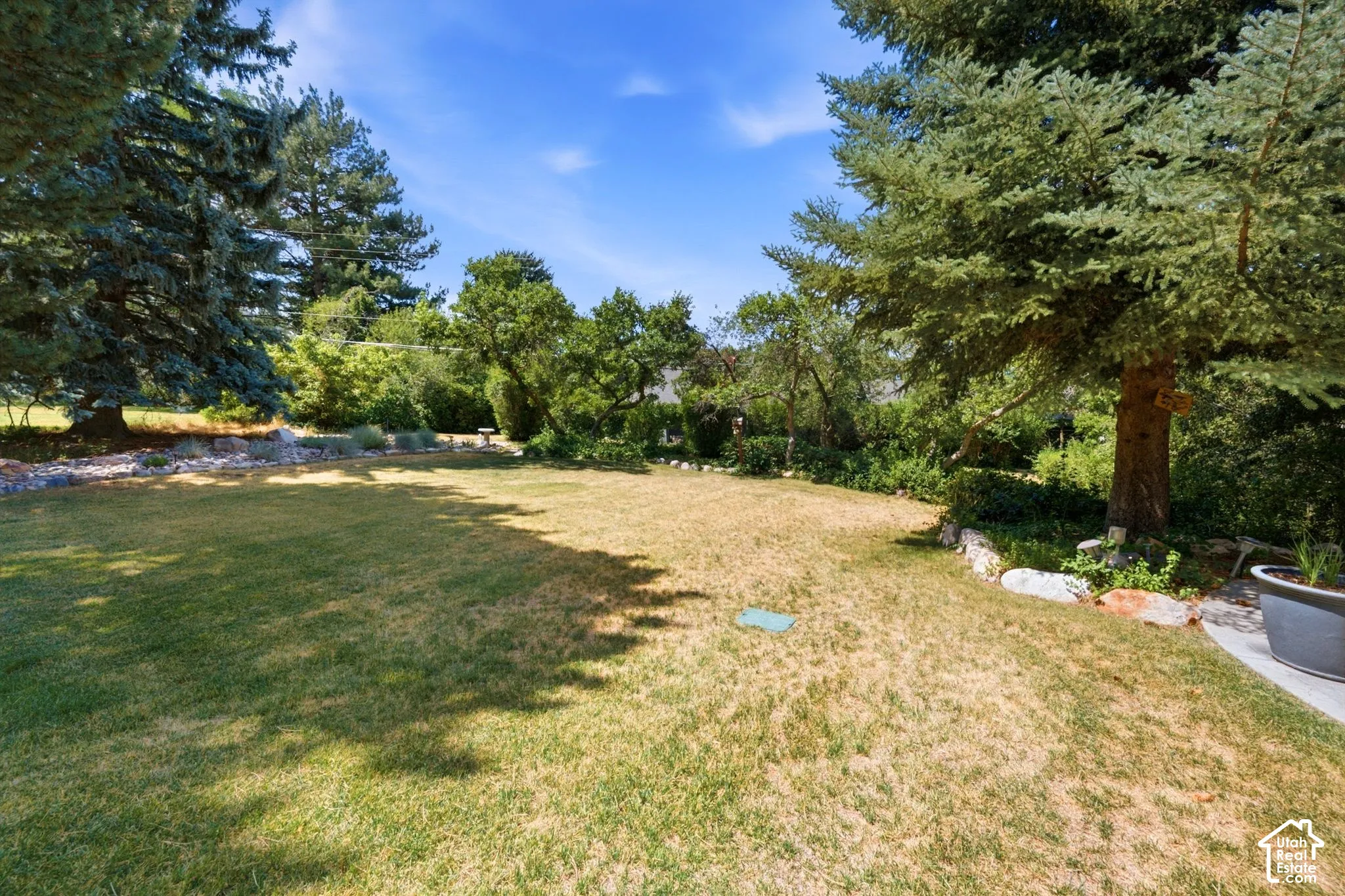 Expansive lawn area with mature evergreen trees, established shrubbery, and stone landscape borders