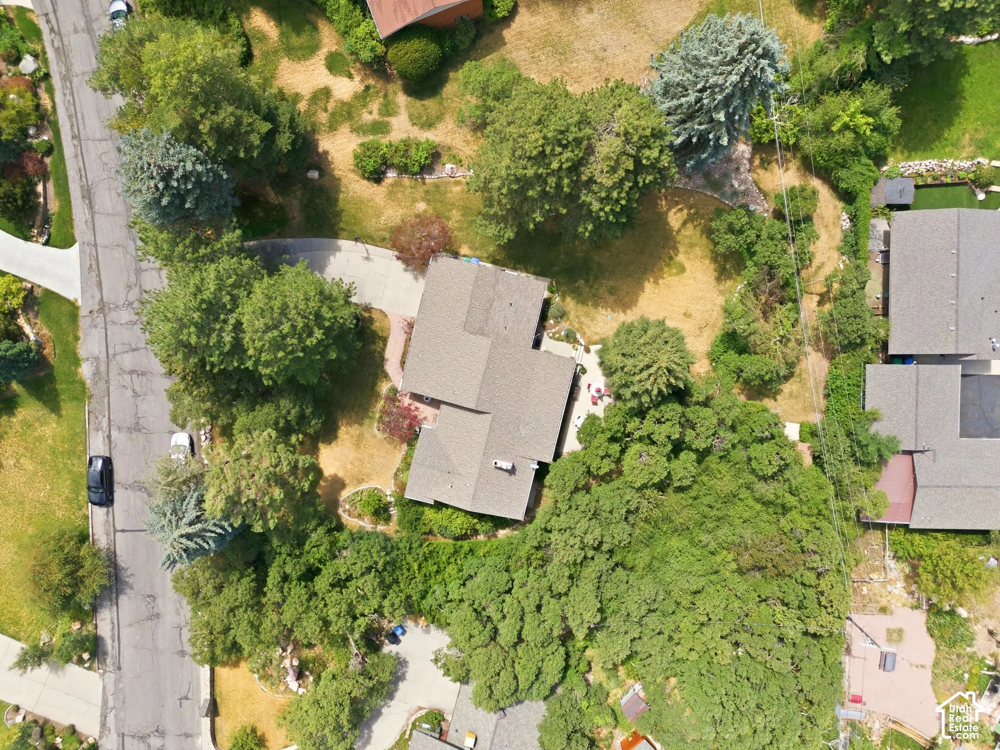 Property featuring a shingled roof, a paved driveway, and surrounding mature trees