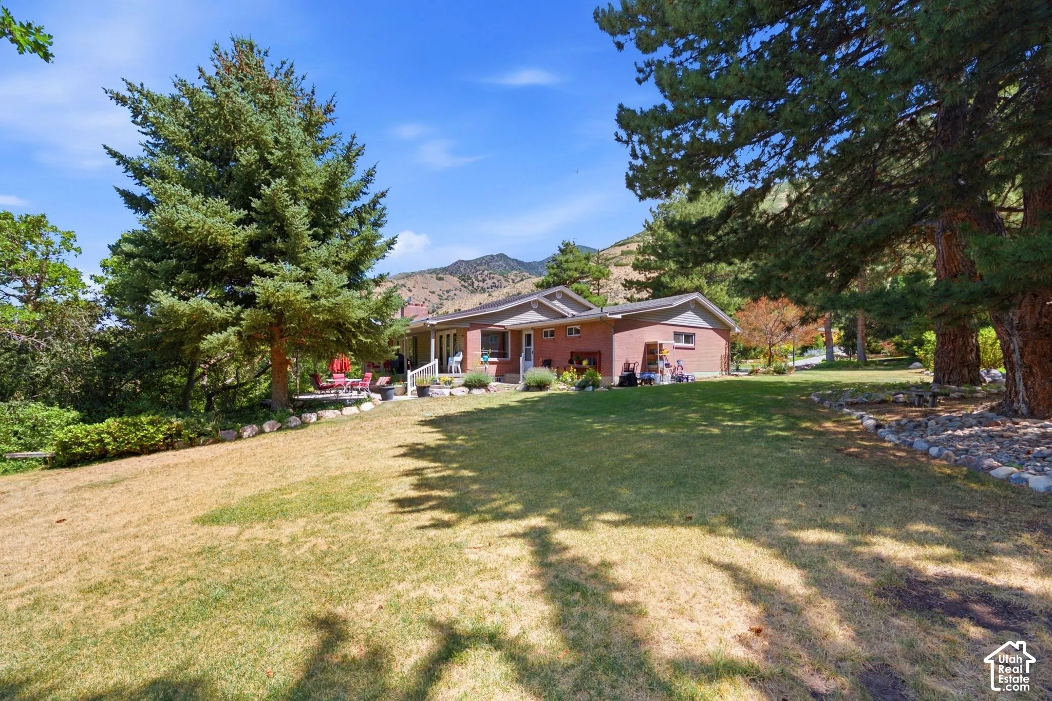 Expansive lawn featuring mature evergreen trees and a multi-level patio