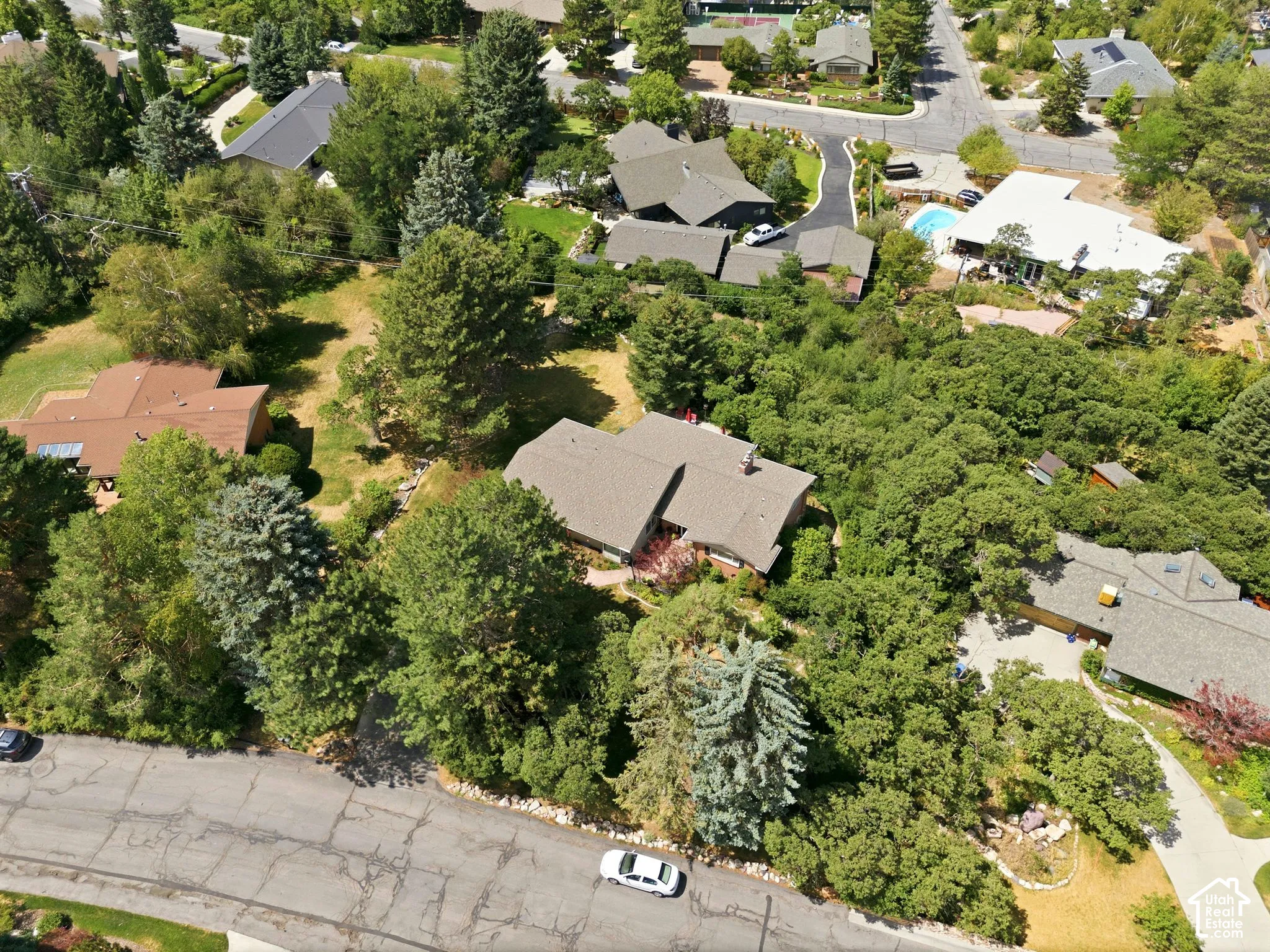 Expansive property featuring mature trees, a pitched roofline, and a paved driveway