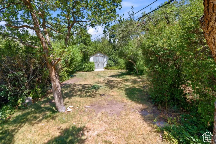 Expansive yard space featuring mature trees and a detached shed