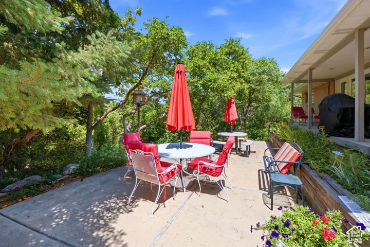 Concrete patio with varied foliage, a wooden retaining wall, and a covered porch