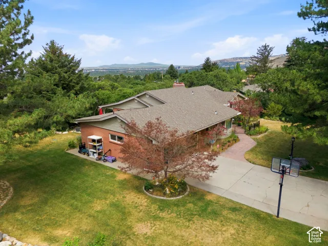 Expansive landscape featuring mature trees and a manicured lawn