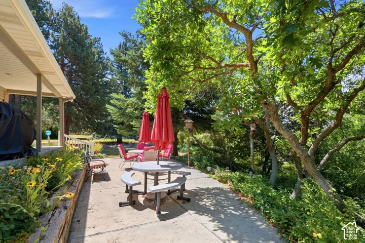 Expansive concrete patio with mature trees providing natural shade, bordered by a raised garden bed with flowering plants, and featuring a covered porch