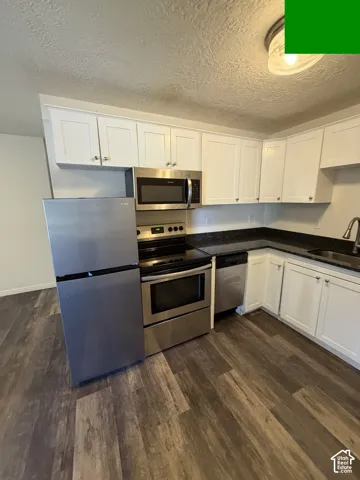 Full suite of stainless steel appliances, white cabinetry, dark countertops, wood-finish flooring, and a ceiling-mounted light fixture