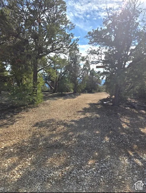 Gravel terrain surrounded by mature trees