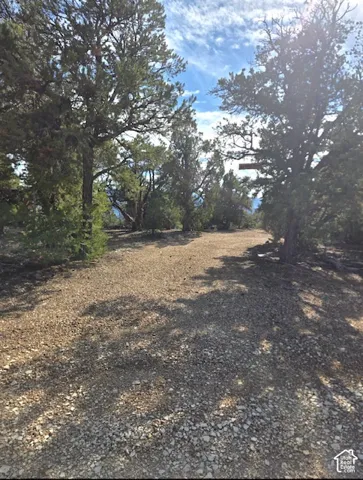 Gravel terrain surrounded by mature trees