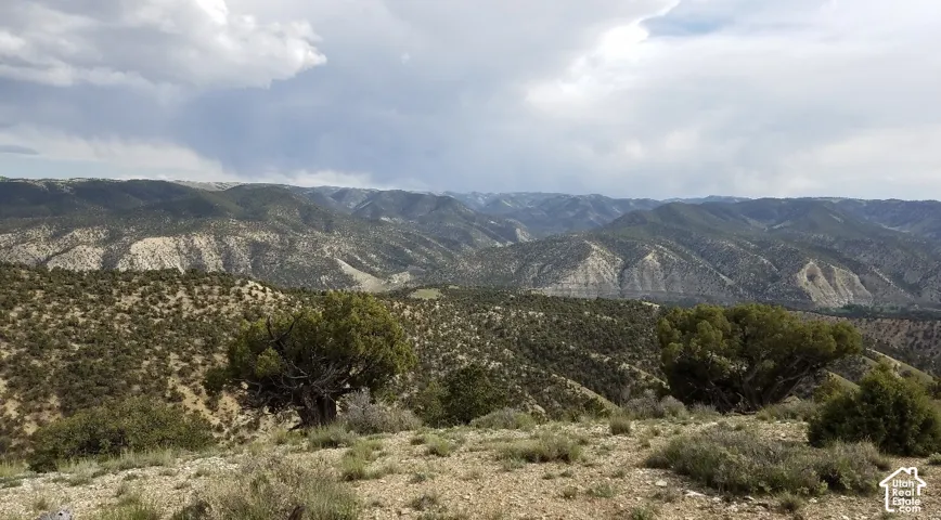 Expansive mountain landscape featuring varied elevations, natural ground cover, and scattered mature trees
