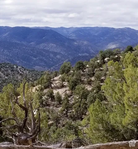 Expansive mountain range backdrop with natural tree coverage