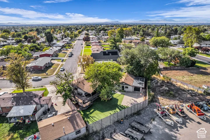 Mature trees and established residential street