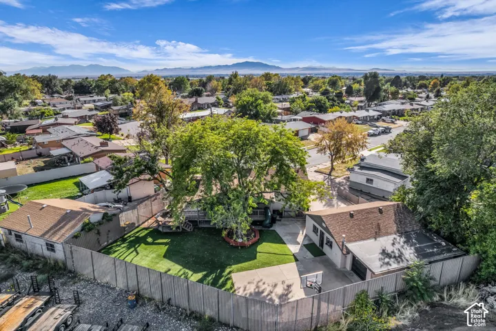 Expansive backyard featuring a manicured lawn, established trees, and a concrete patio