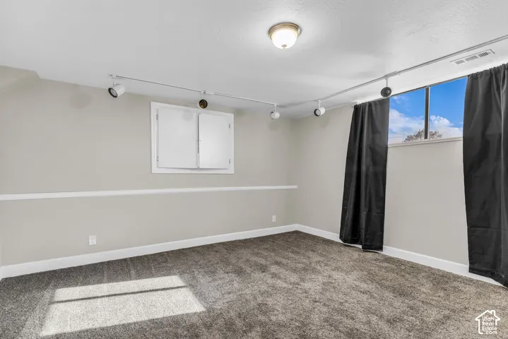Carpeted room featuring track lighting, a flush mount ceiling fixture, and a window with black curtains