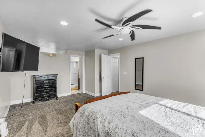Recessed ceiling lighting, ceiling fan, and plush carpet