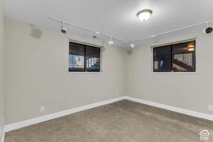 Carpet flooring, dual windows, track lighting, and a flush mount ceiling light