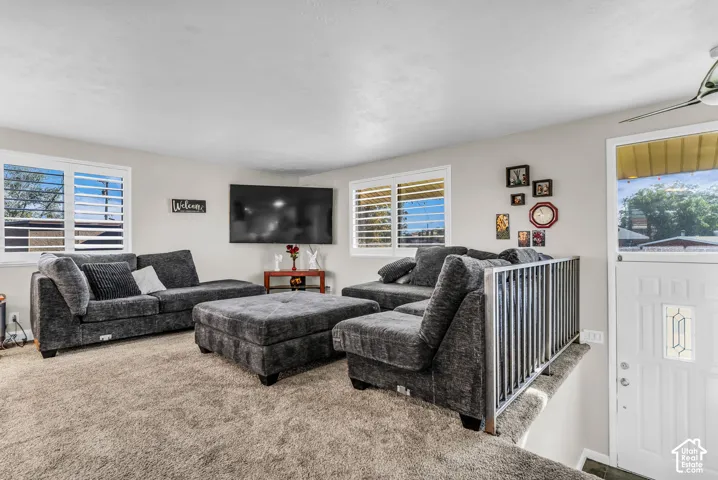 Carpeted living area featuring white plantation shutters, a white paneled door with decorative glass, and a black metal railing
