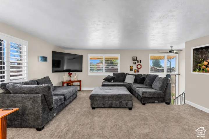 Spacious living area featuring neutral carpeting, multiple windows with white louvered shutters, and a ceiling fan