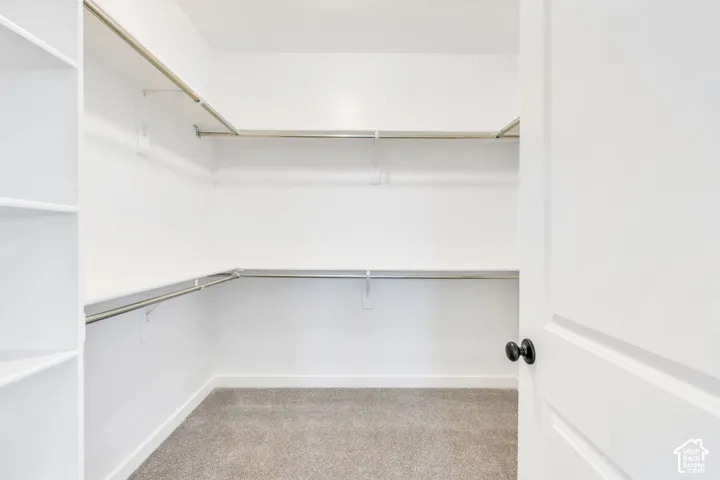 Walk-in closet featuring built-in shelving, multiple hanging rods, and neutral-toned carpeting