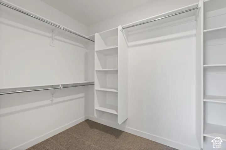 Walk-in closet featuring built-in shelving, dual hanging rods, and carpet flooring