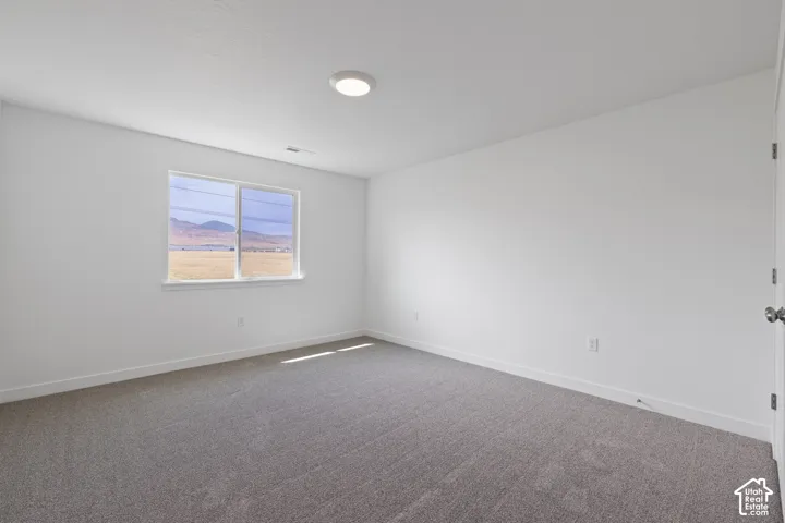 Neutral-toned wall-to-wall carpeting, white painted walls, window with mountain and field scenery, and a ceiling-mounted light fixture