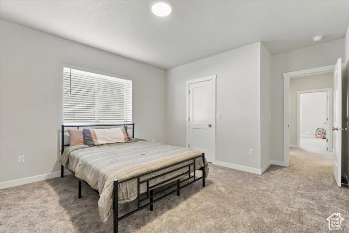 Carpeted flooring, white walls, and a window with horizontal blinds