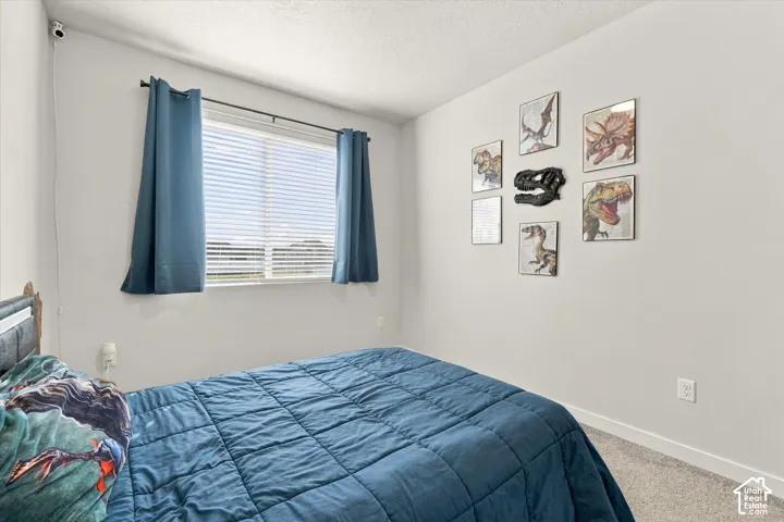 Carpeted flooring, neutral wall paint, and window blinds