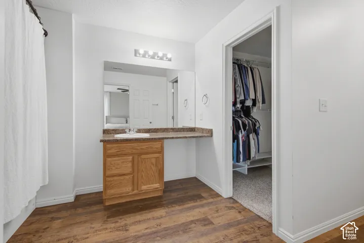 Wood-finish flooring throughout, vanity with a rectangular sink, wood cabinetry, and a walk-in closet with built-in shelving