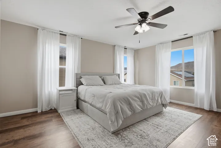 Warm neutral wall paint, wood-finish flooring, and multiple windows