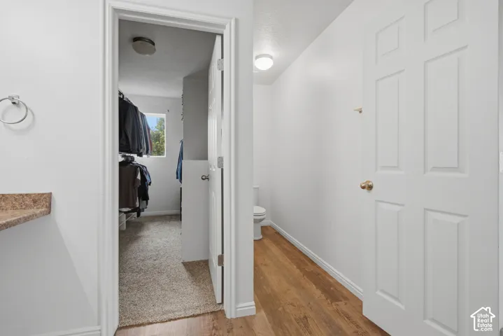 Interior doorway leading to a walk-in closet with built-in shelving, carpet flooring, and a window