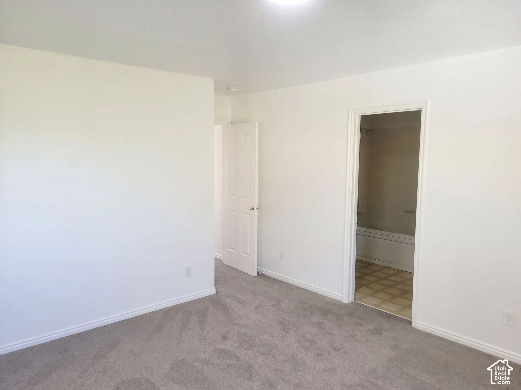 Neutral wall paint, gray carpeting, interior door with hardware, flush-mount ceiling light, patterned flooring