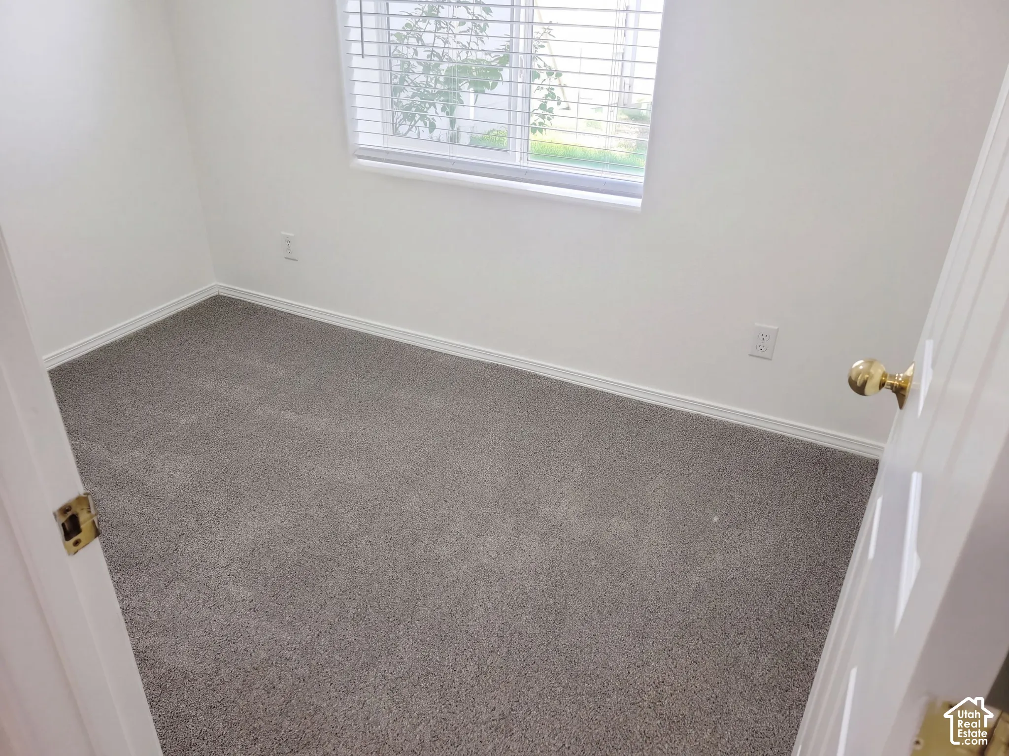 White painted walls, grey carpet flooring, and a single window with horizontal blinds