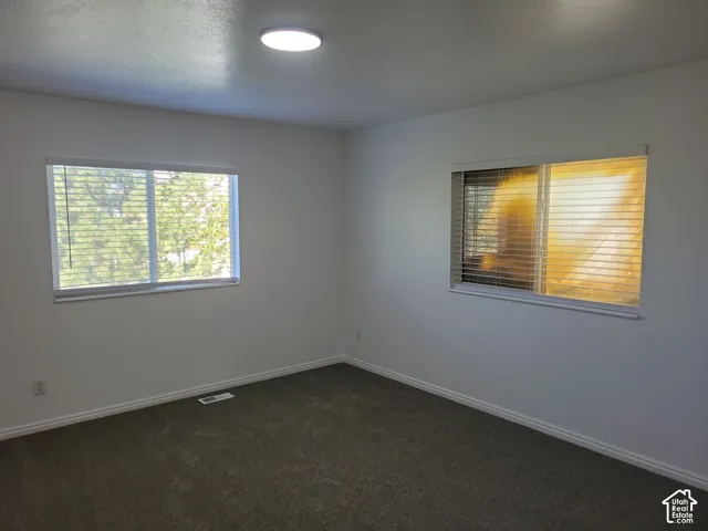 Neutral wall finishes, recessed ceiling lighting, two windows with blinds, and carpeting