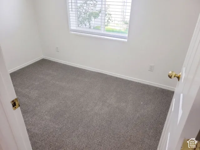 White painted walls, grey carpet flooring, and a single window with horizontal blinds