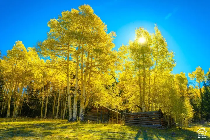 0 Unit 8, Brian Head, Utah 84719
