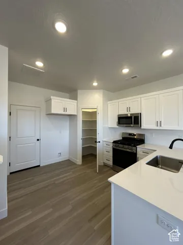 White shaker cabinetry, wood-finish flooring, stainless steel appliances, white countertops, and a walk-in pantry
