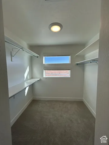 Recessed ceiling light fixture, twin horizontal windows, built-in shelving, carpet flooring, and white trim