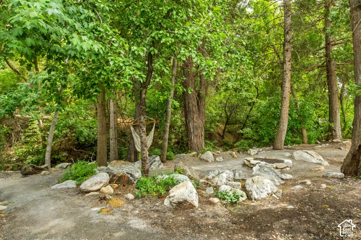 Wooded natural landscape featuring mature trees, a defined stone fire pit, and various natural rock formations