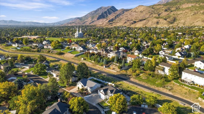 Expansive residential area with varied architectural styles, mature trees, mountain backdrop, and a prominent distant structure featuring two spires