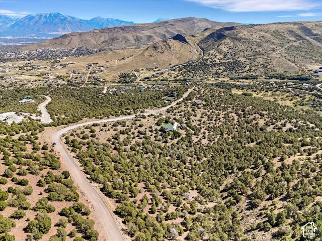 Expansive natural landscape with scattered evergreen trees