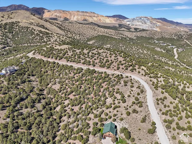 Expansive mountainous terrain with scattered evergreen vegetation and a visible winding road