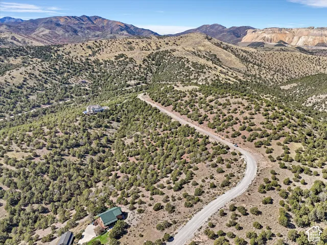Expansive mountainous terrain with a winding road, surrounded by abundant natural foliage, and distant structures