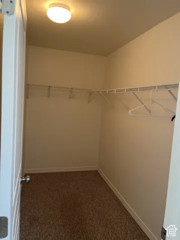 Walk-in closet featuring wire shelving, white walls, and broadloom carpeting