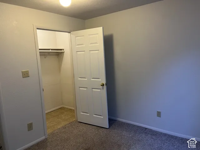 Carpeted flooring, neutral wall tones, interior closet with shelving and hanging rod, paneled interior door, flush mount ceiling light