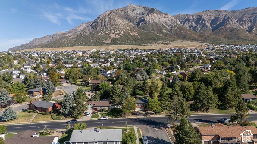 Residential neighborhood with mature trees and a prominent mountain backdrop