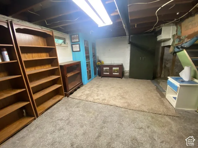 Storage shelves in basement.