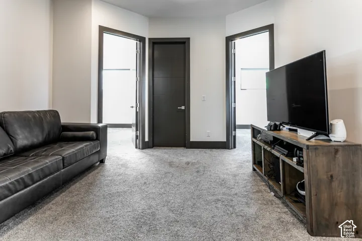 Wall-to-wall carpeting and neutral wall tones complement the dark trim and modern doors