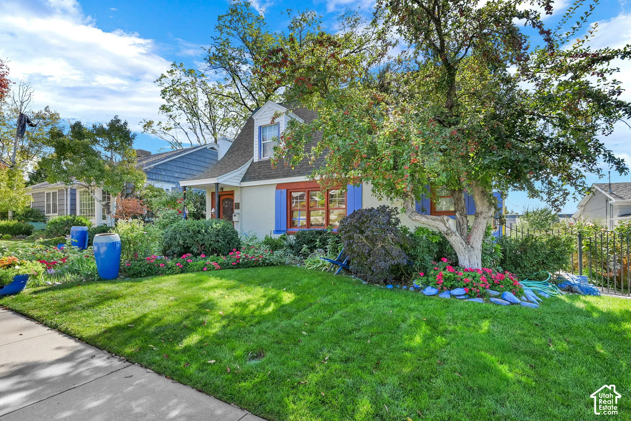 Dormer roofline, vibrant blue window shutters, and a mature tree