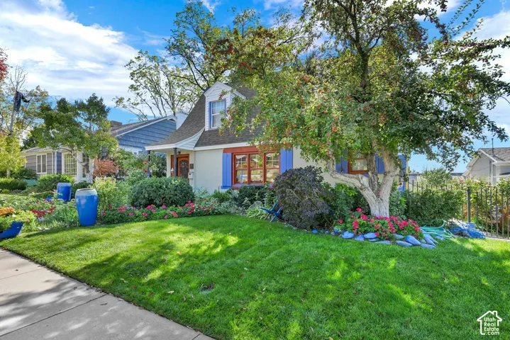 Dormer roofline, vibrant blue window shutters, and a mature tree