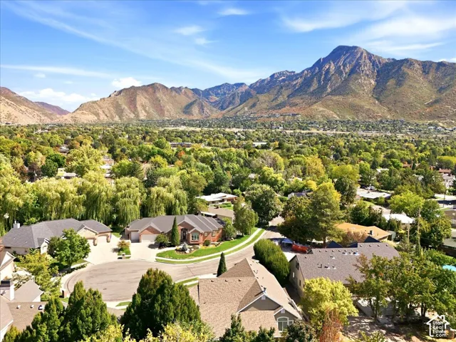 Expansive mountainous backdrop framing a residential area with mature tree coverage