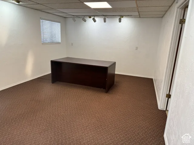 Textured white walls with track lighting, suspended ceiling, patterned brown carpeting, and a window with blinds