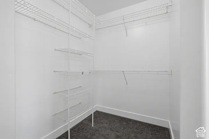 Primary / Master Closet off of the bathroom. Spacious walk-in closet featuring multiple wire shelving units with sturdy metal framing, ample storage capacity across all wall surfaces, and dark-finish flooring